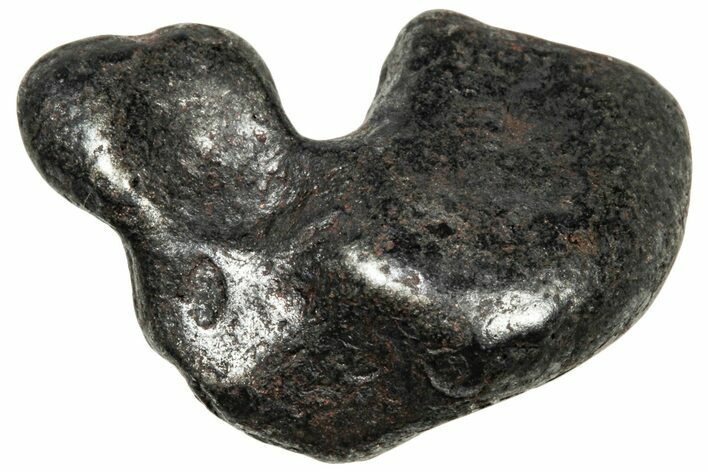 Agoudal Iron Meteorite ( g) - Morocco #303939